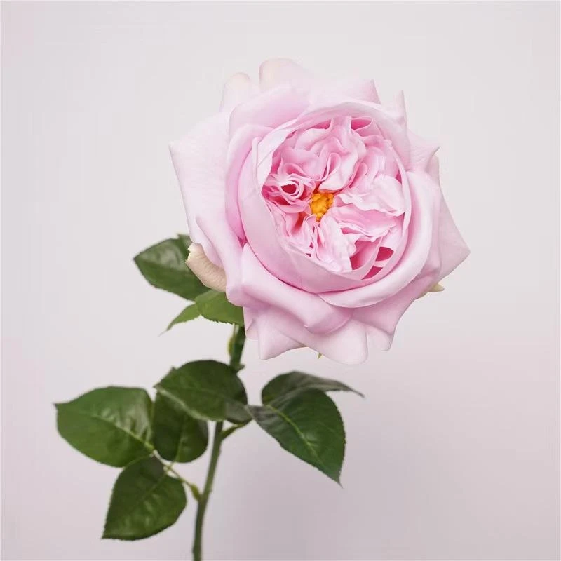 Pink artificial Austin rose with densely layered petals and green leaves
