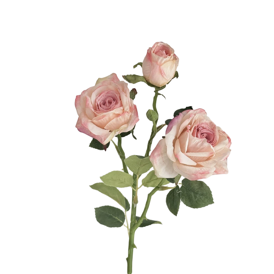 A pale pink artificial rose branch with two open flowers and a bud