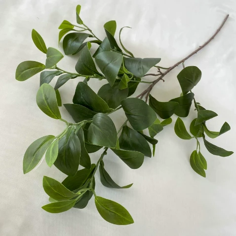 Green artificial broad-leaf branches laid against a pale background